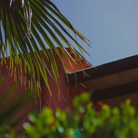 Villa Sanvitotour - Tra Cielo E Mare